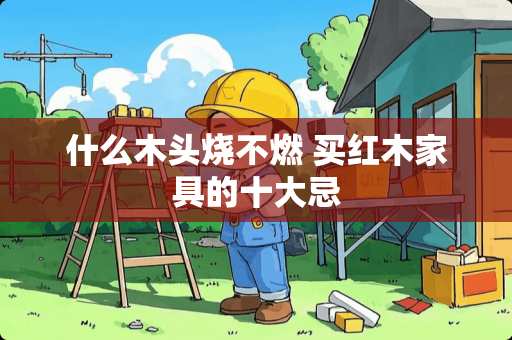 什么木头烧不燃 买红木家具的十大忌