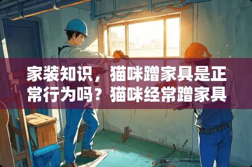 家装知识，猫咪蹭家具是正常行为吗？猫咪经常蹭家具好吗