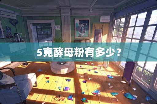 5克酵母粉有多少？