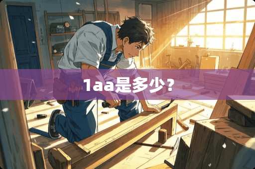 1aa是多少？