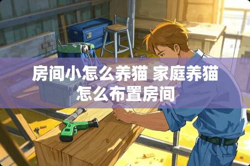 房间小怎么养猫 家庭养猫怎么布置房间