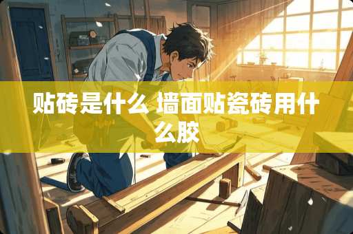 贴砖是什么 墙面贴瓷砖用什么胶