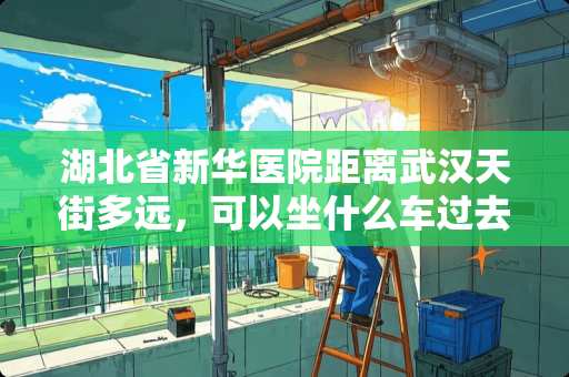 湖北省新华医院距离武汉天街多远，可以坐什么车过去？