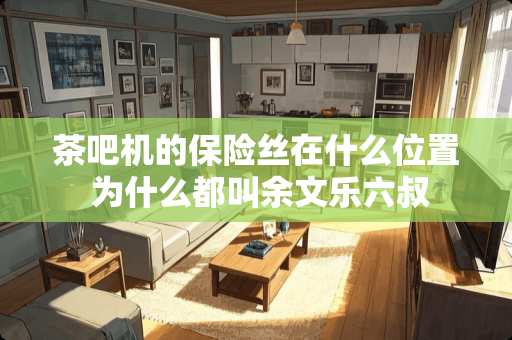 茶吧机的保险丝在什么位置 为什么都叫余文乐六叔