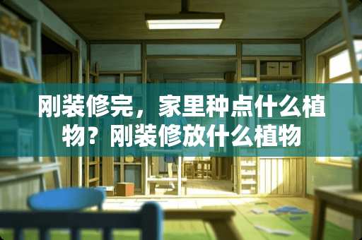 刚装修完，家里种点什么植物？刚装修放什么植物