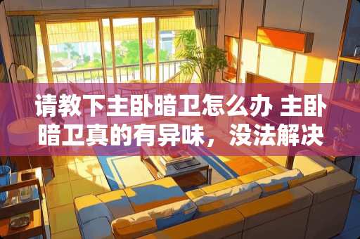 请教下主卧暗卫怎么办 主卧暗卫真的有异味，没法解决吗