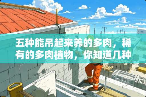 五种能吊起来养的多肉，稀有的多肉植物，你知道几种？