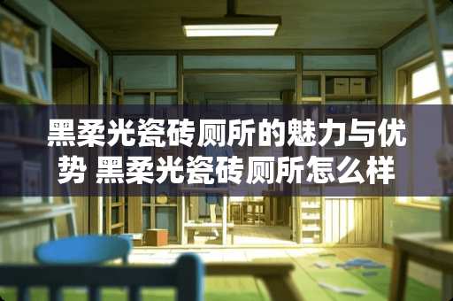 黑柔光瓷砖厕所的魅力与优势 黑柔光瓷砖厕所怎么样