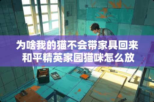 为啥我的猫不会带家具回来 和平精英家园猫咪怎么放家具