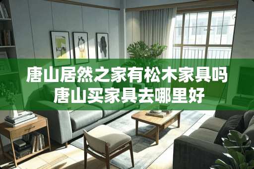 唐山居然之家有松木家具吗 唐山买家具去哪里好