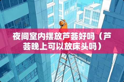 夜间室内摆放芦荟好吗（芦荟晚上可以放床头吗）