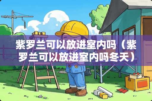 紫罗兰可以放进室内吗（紫罗兰可以放进室内吗冬天）