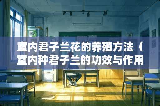 室内君子兰花的养殖方法（室内种君子兰的功效与作用）