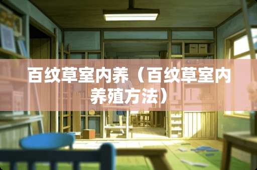 百纹草室内养（百纹草室内养殖方法）