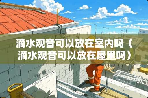 滴水观音可以放在室内吗（滴水观音可以放在屋里吗）