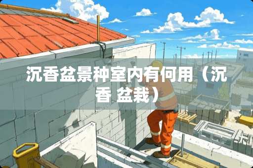 沉香盆景种室内有何用（沉香 盆栽）