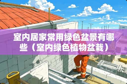 室内居家常用绿色盆景有哪些（室内绿色植物盆栽）