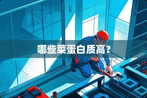 哪些菜蛋白质高？