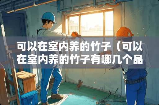 可以在室内养的竹子（可以在室内养的竹子有哪几个品种）