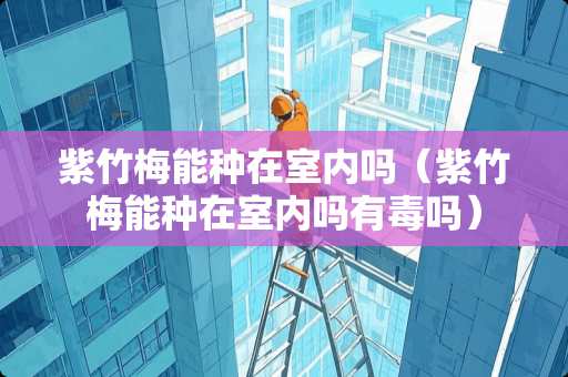 紫竹梅能种在室内吗（紫竹梅能种在室内吗有毒吗）