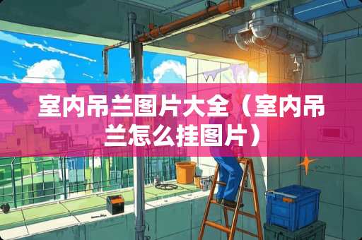 室内吊兰图片大全（室内吊兰怎么挂图片）