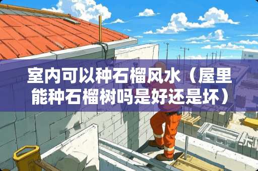 室内可以种石榴风水（屋里能种石榴树吗是好还是坏）