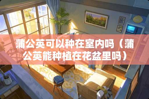 蒲公英可以种在室内吗（蒲公英能种植在花盆里吗）