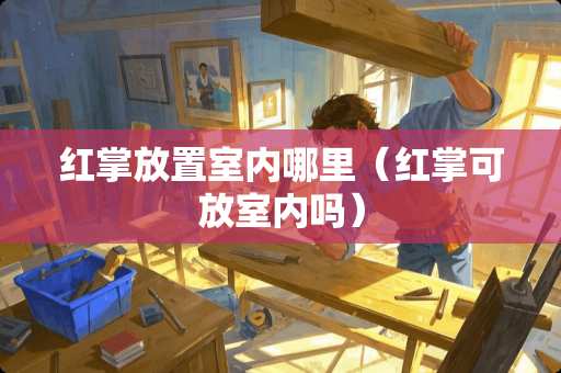 红掌放置室内哪里（红掌可放室内吗）
