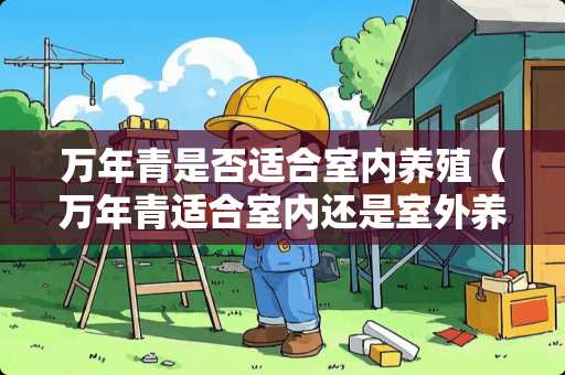 万年青是否适合室内养殖（万年青适合室内还是室外养殖）