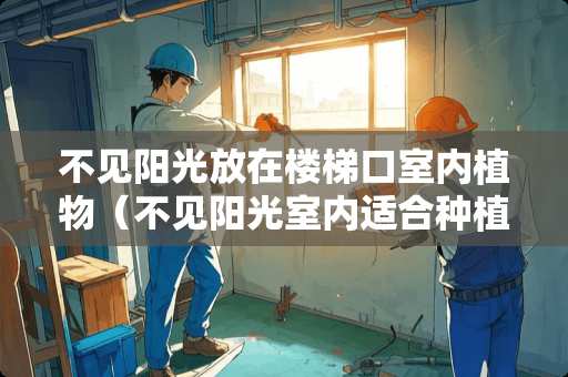 不见阳光放在楼梯口室内植物（不见阳光室内适合种植什么蔬菜）