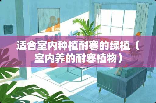 适合室内种植耐寒的绿植（室内养的耐寒植物）