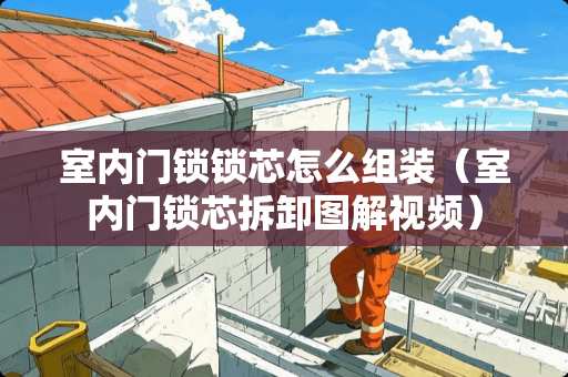 室内门锁锁芯怎么组装（室内门锁芯拆卸图解视频）