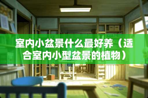 室内小盆景什么最好养（适合室内小型盆景的植物）