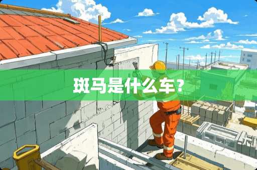 斑马是什么车？
