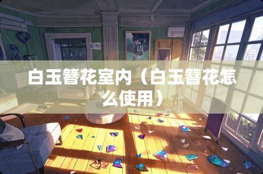 白玉簪花室内（白玉簪花怎么使用）