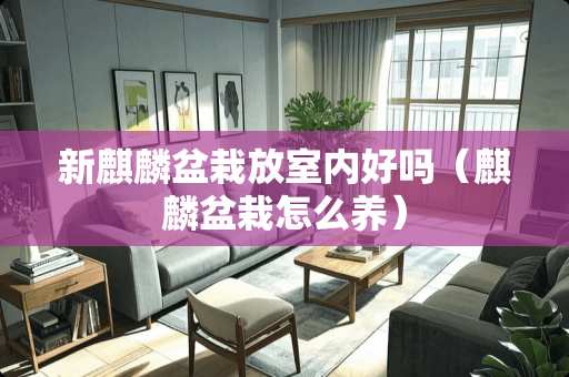 新麒麟盆栽放室内好吗（麒麟盆栽怎么养）