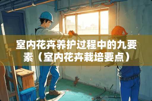 室内花卉养护过程中的九要素(室内花卉栽培要点) 室内花卉养护过程中的九要素(室内花卉栽培要点)