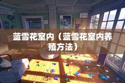 蓝雪花室内(蓝雪花室内养殖方法) 蓝雪花室内(蓝雪花室内养殖方法)