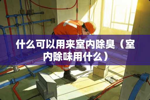 什么可以用来室内除臭（室内除味用什么）