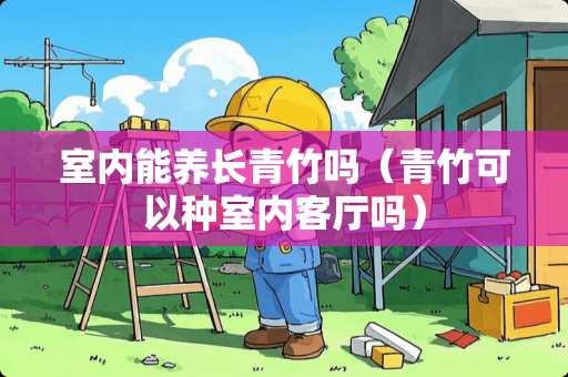 室内能养长青竹吗（青竹可以种室内客厅吗）