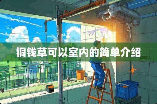 铜钱草可以室内的简单介绍 铜钱草可以室内的简单介绍
