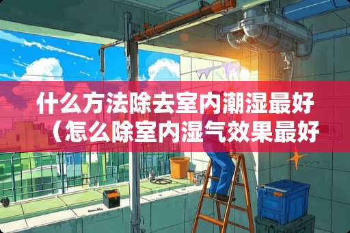 什么方法除去室内潮湿最好（怎么除室内湿气效果最好的方法）