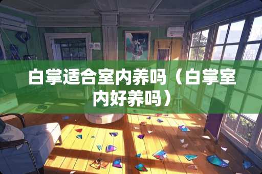 白掌适合室内养吗（白掌室内好养吗）