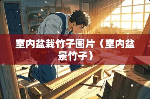 室内盆栽竹子图片（室内盆景竹子）