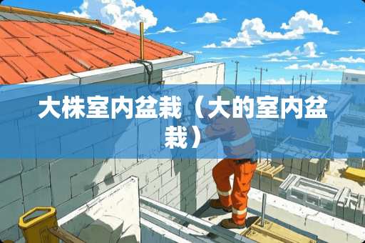大株室内盆栽（大的室内盆栽）