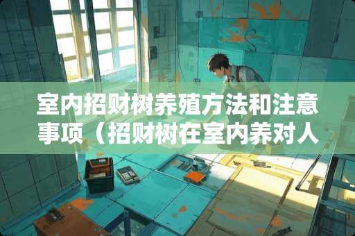 室内招财树养殖方法和注意事项（招财树在室内养对人有好处吗）