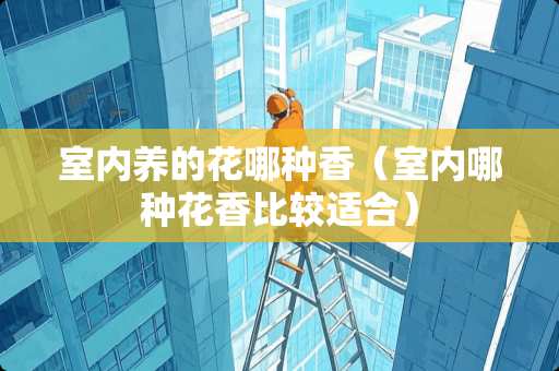 室内养的花哪种香（室内哪种花香比较适合）
