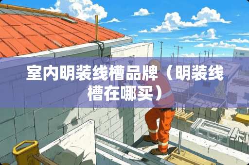 室内明装线槽品牌（明装线槽在哪买）