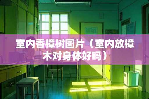 室内香樟树图片（室内放樟木对身体好吗）