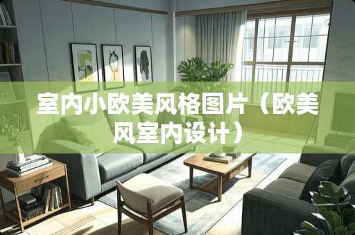 室内小欧美风格图片（欧美风室内设计）
